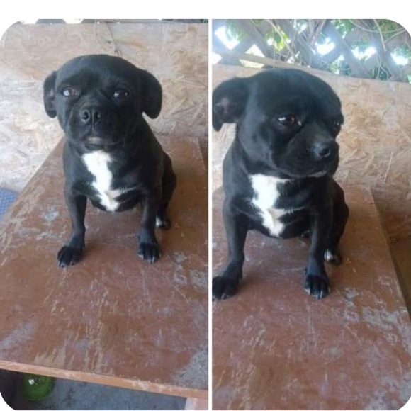 Meet your Posher, Christina - Picture 2 of 4